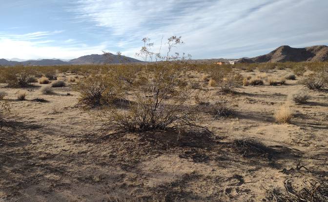 Land Lot for Sale 63682 Broadway, Joshua Tree. Photo#17 Land Lot for Sale 63682 Broadway, Joshua Tree. Photo#17