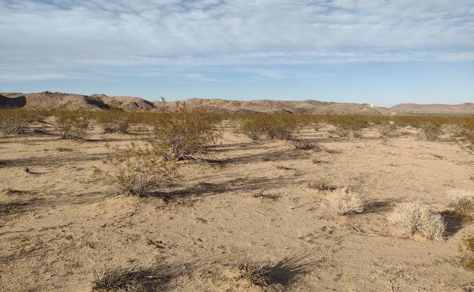 Land Lot for Sale 63682 Broadway, Joshua Tree. Photo#3 Land Lot for Sale 63682 Broadway, Joshua Tree. Photo#3