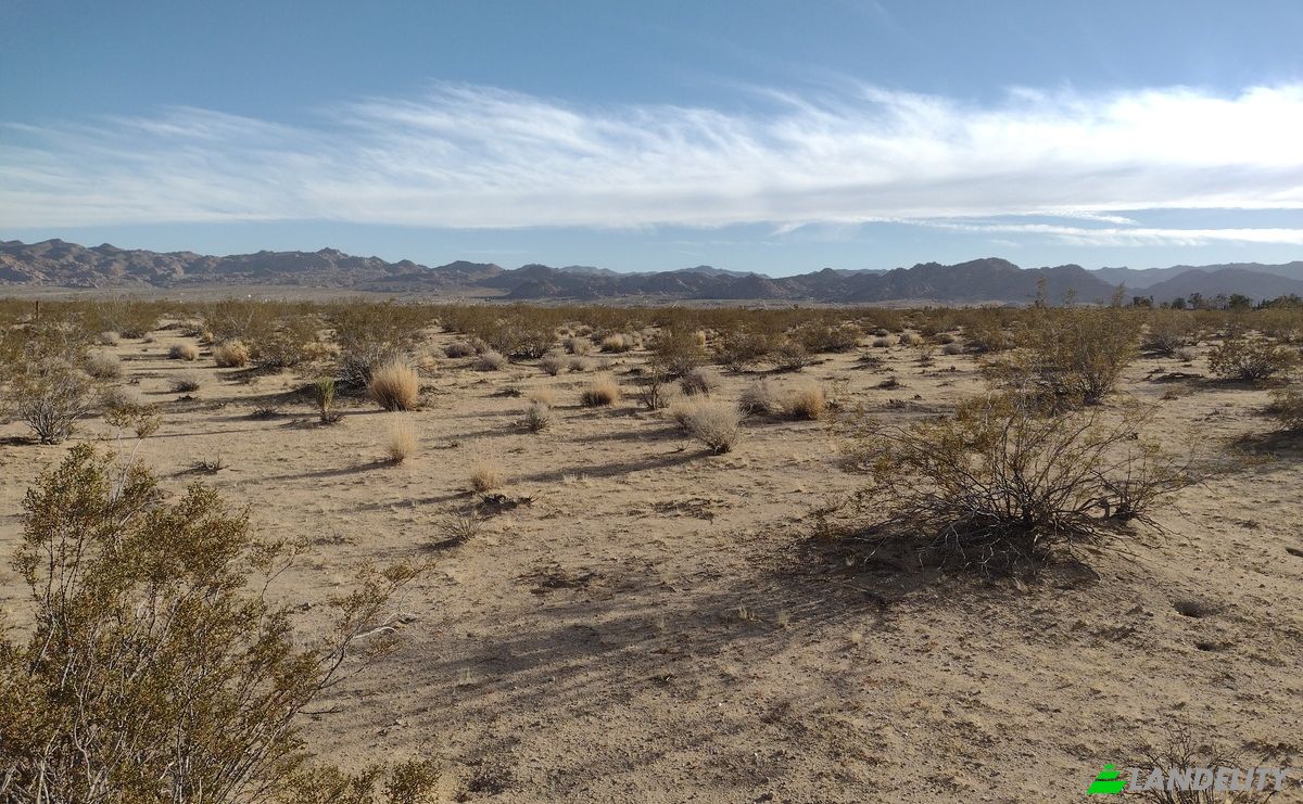 Land Lot for Sale 63682 Broadway, Joshua Tree, San Bernardino County, California, United States, CA 92252, USA. Photo 4