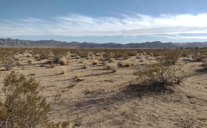 Land Lot for Sale 63682 Broadway, Joshua Tree. Photo#4 Land Lot for Sale 63682 Broadway, Joshua Tree. Photo#4