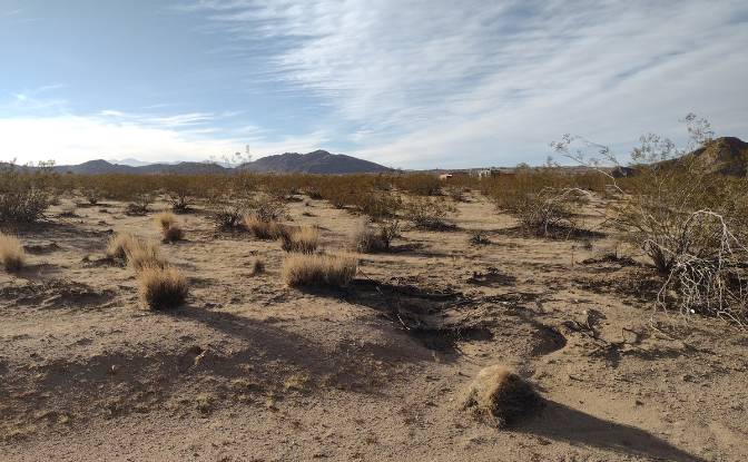 Land Lot for Sale 63682 Broadway, Joshua Tree. Photo#6 Land Lot for Sale 63682 Broadway, Joshua Tree. Photo#6