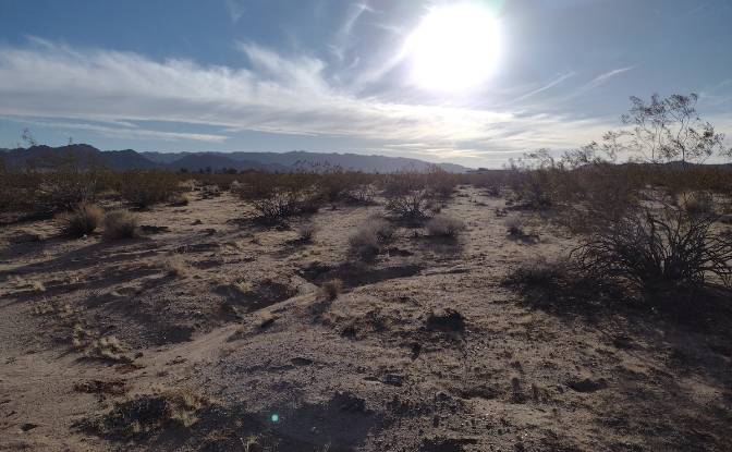 Land Lot for Sale 63682 Broadway, Joshua Tree. Photo#8 Land Lot for Sale 63682 Broadway, Joshua Tree. Photo#8