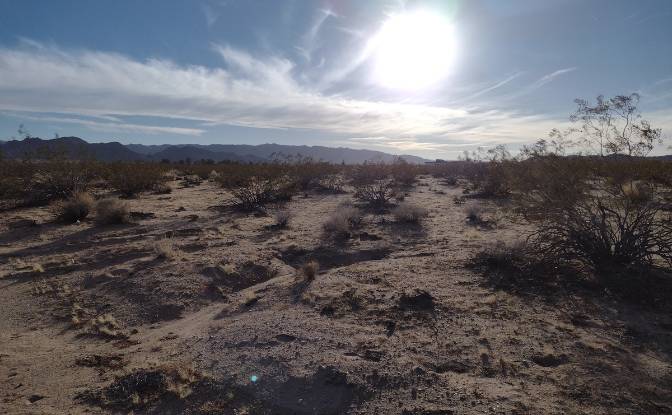 Land Lot for Sale 63682 Broadway, Joshua Tree. Photo#9 Land Lot for Sale 63682 Broadway, Joshua Tree. Photo#9