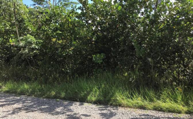 Land Lot for Sale - Wainaku, United States