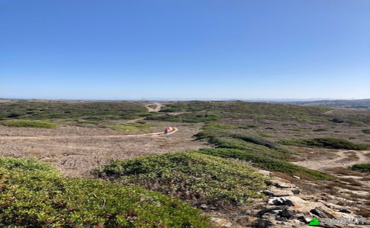 Investing/Development for Sale Strada senza nome, 07100 Sassari SS, Biancareddu SS, Province of Sassari, Sardinia, Italy. Photo 3