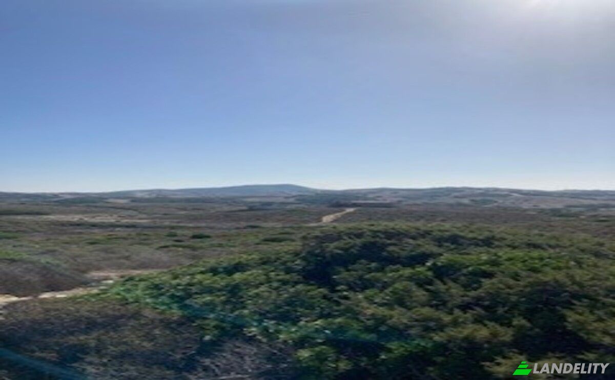 Investing/Development for Sale Strada senza nome, 07100 Sassari SS, Biancareddu SS, Province of Sassari, Sardinia, Italy. Photo 8