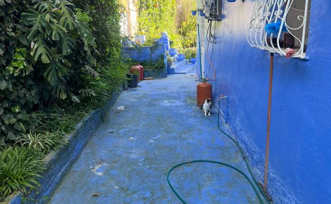 Casa unifamiliare in vendita Chefchaouen. Foto#3