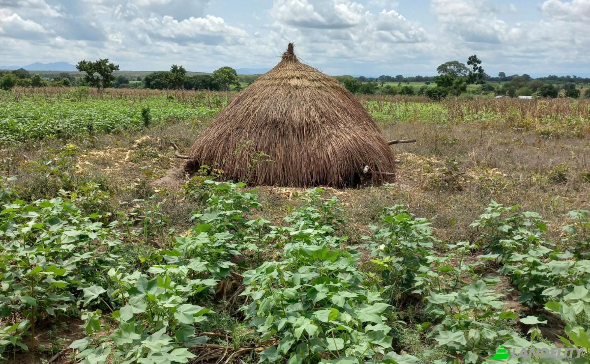Land Lot for Sale Route Sans Nom, Alati, Haho, Plateaux Region, Togo. Photo 11