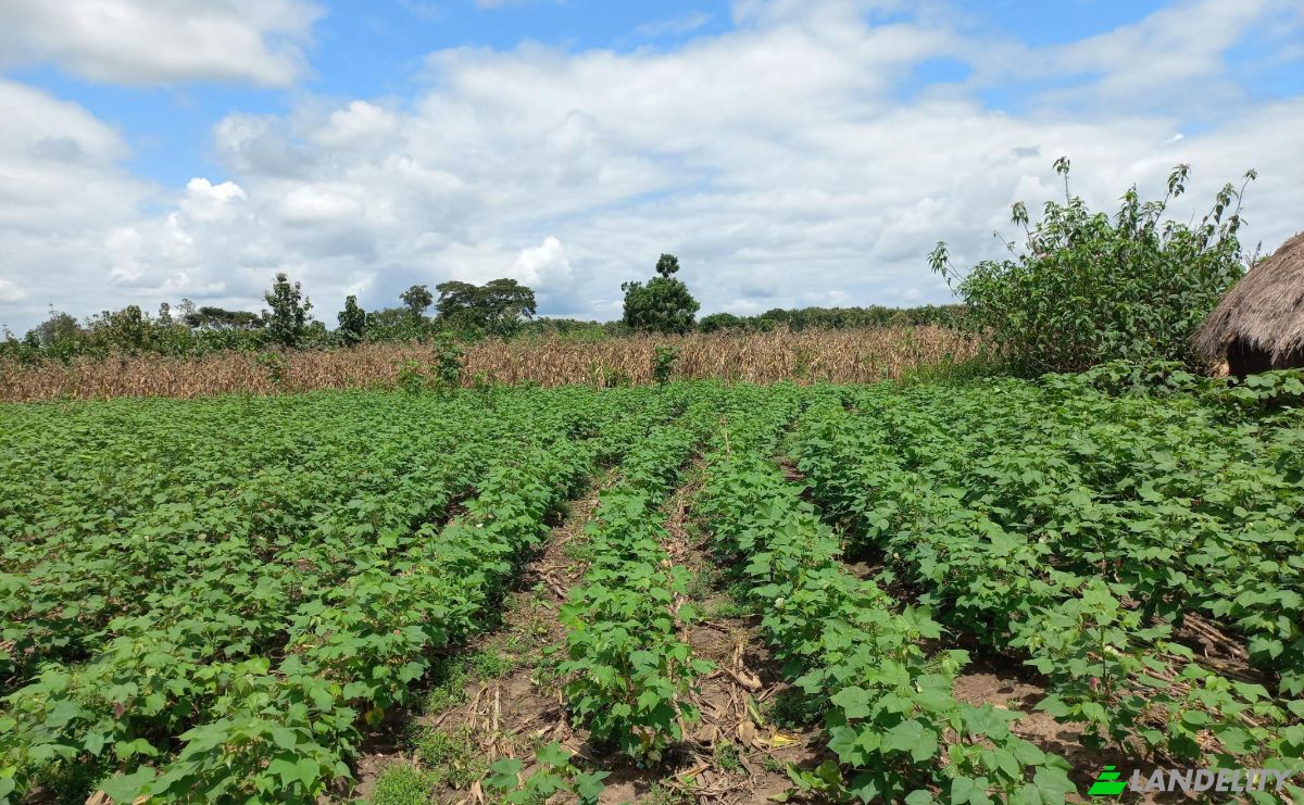 Land Lot for Sale Route Sans Nom, Alati, Haho, Plateaux Region, Togo. Photo 12