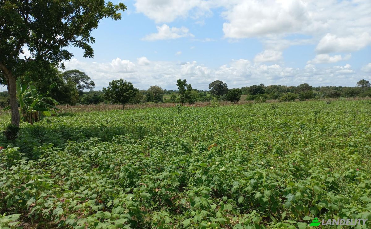Land Lot for Sale Route Sans Nom, Alati, Haho, Plateaux Region, Togo. Photo 13