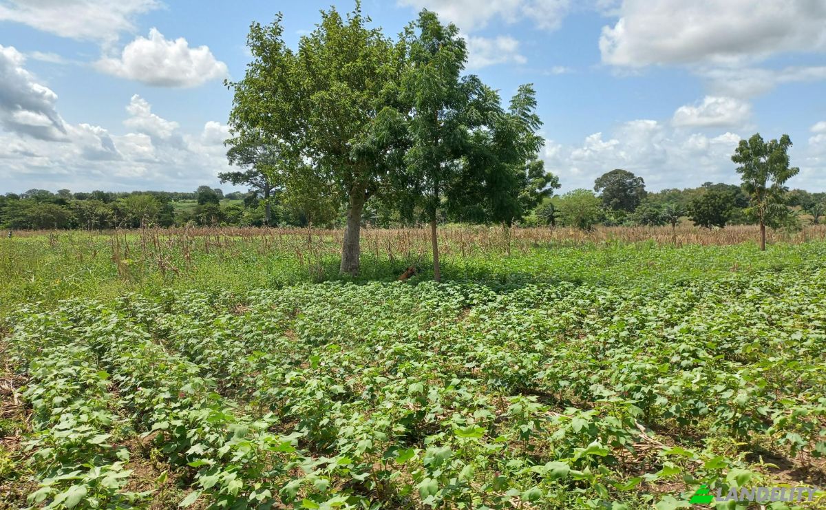 Land Lot for Sale Route Sans Nom, Alati, Haho, Plateaux Region, Togo. Photo 14