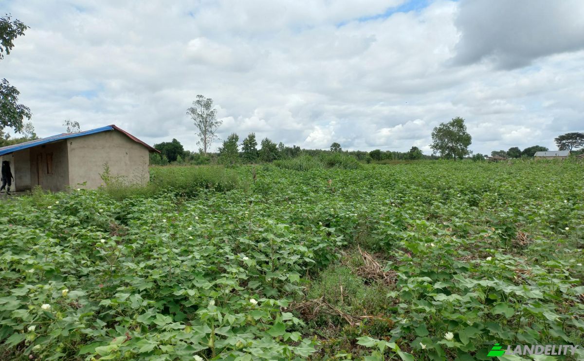 Land Lot for Sale Route Sans Nom, Alati, Haho, Plateaux Region, Togo. Photo 15