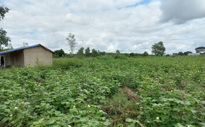 Land Lot for Sale Route Sans Nom, Alati, Haho. Photo#15 Land Lot for Sale Route Sans Nom, Alati, Haho. Photo#15