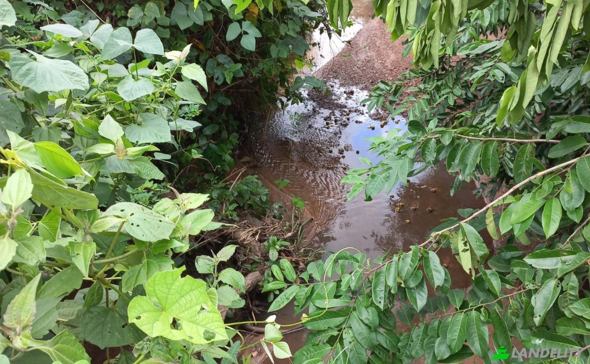 Land Lot for Sale Route Sans Nom, Alati, Haho, Plateaux Region, Togo. Photo 3