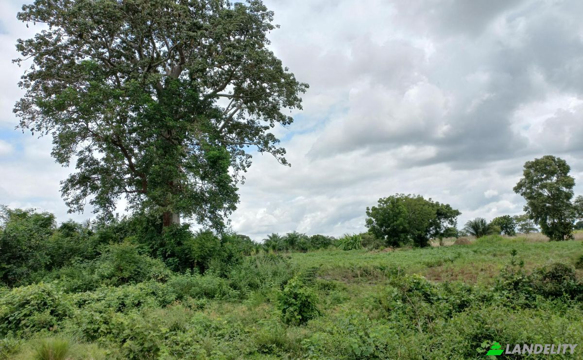 Land Lot for Sale Route Sans Nom, Alati, Haho, Plateaux Region, Togo. Photo 4