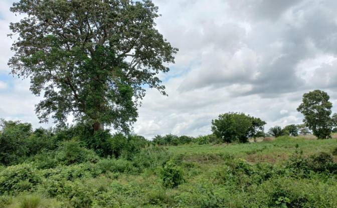 Land Lot for Sale Route Sans Nom, Alati, Haho. Photo#4 Land Lot for Sale Route Sans Nom, Alati, Haho. Photo#4