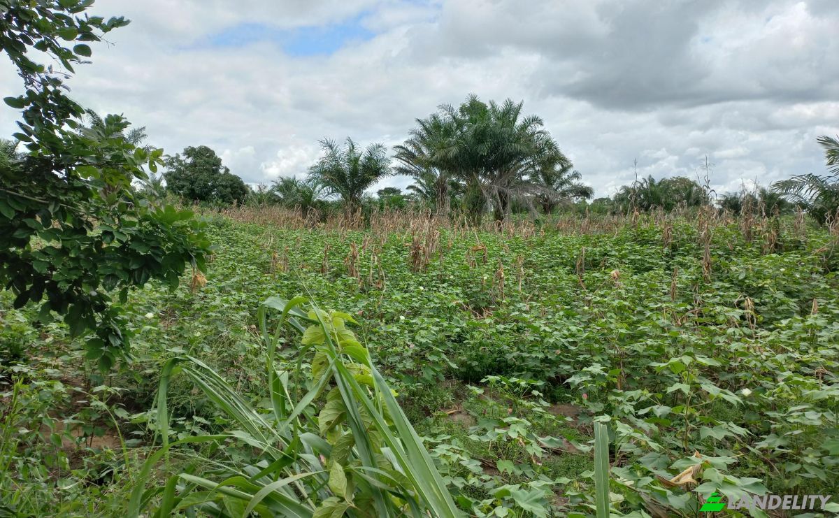 Land Lot for Sale Route Sans Nom, Alati, Haho, Plateaux Region, Togo. Photo 6