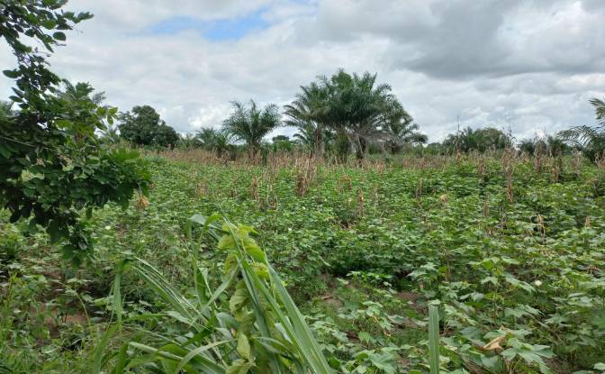 Land Lot for Sale Route Sans Nom, Alati, Haho. Photo#6 Land Lot for Sale Route Sans Nom, Alati, Haho. Photo#6