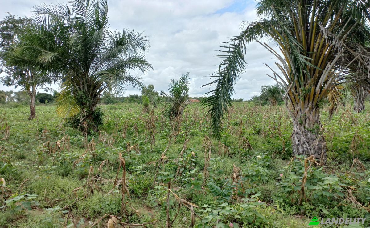 Land Lot for Sale Route Sans Nom, Alati, Haho, Plateaux Region, Togo. Photo 8