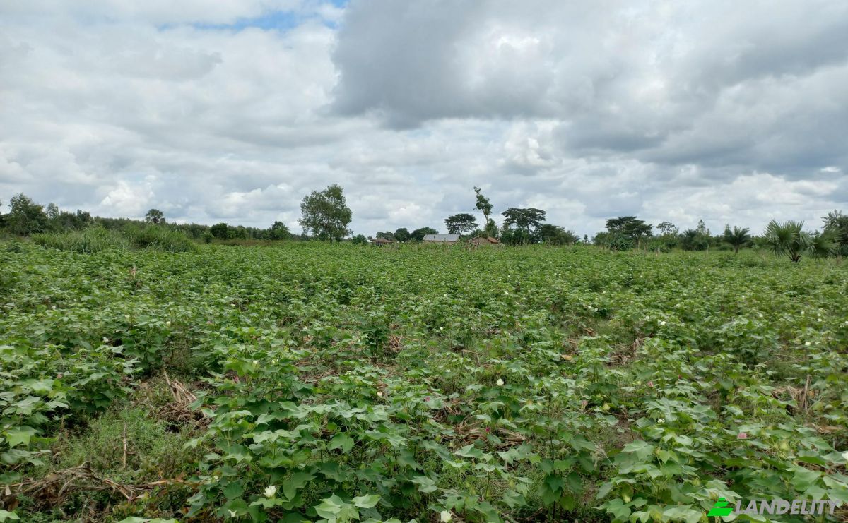 Land Lot for Sale Route Sans Nom, Alati, Haho, Plateaux Region, Togo. Photo 10