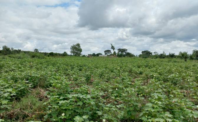 Land Lot for Sale Route Sans Nom, Alati, Haho. Photo#10 Land Lot for Sale Route Sans Nom, Alati, Haho. Photo#10