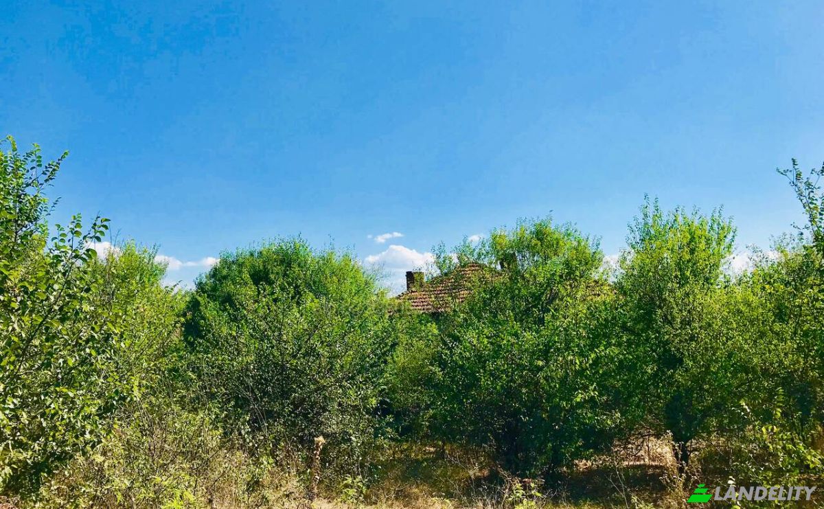 Single Family Home for Sale 53 53, 8313 Zornitsa, Zornitsa, Sredets Municipality, Burgas, Bulgaria. Photo 4