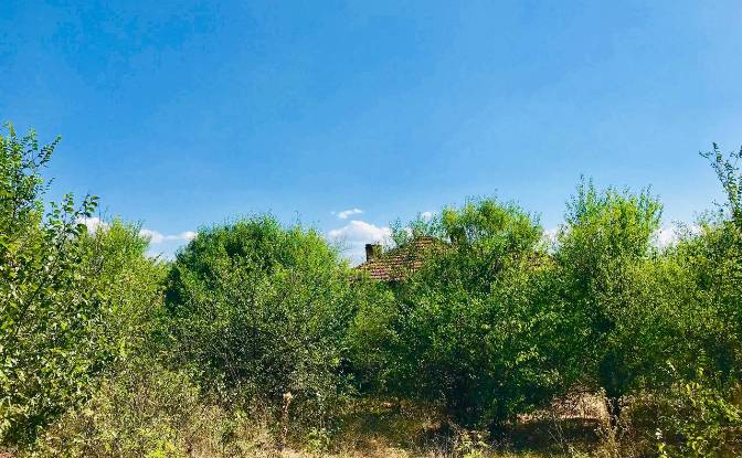 Single Family Home for Sale 53 53, 8313 Zornitsa. Photo#4