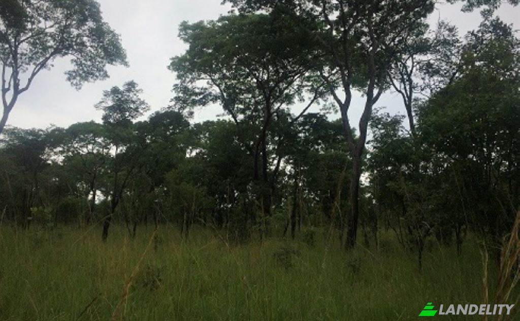 Land Lot for Sale Saulo, Kapiri Mposhi, Central Province, Zambia. Photo 3
