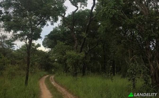 Land Lot for Sale Saulo, Kapiri Mposhi. Photo#4 Land Lot for Sale Saulo, Kapiri Mposhi. Photo#4