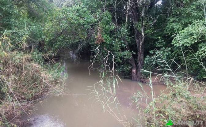 Land Lot for Sale Saulo, Kapiri Mposhi. Photo#9 Land Lot for Sale Saulo, Kapiri Mposhi. Photo#9