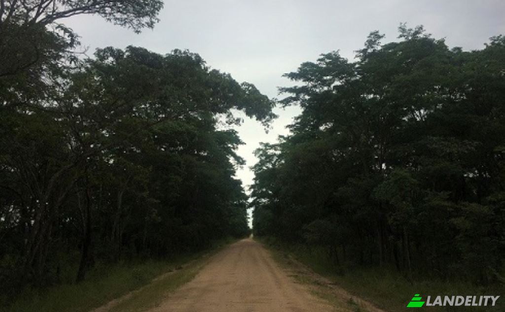Land Lot for Sale Saulo, Kapiri Mposhi, Central Province, Zambia. Photo 5
