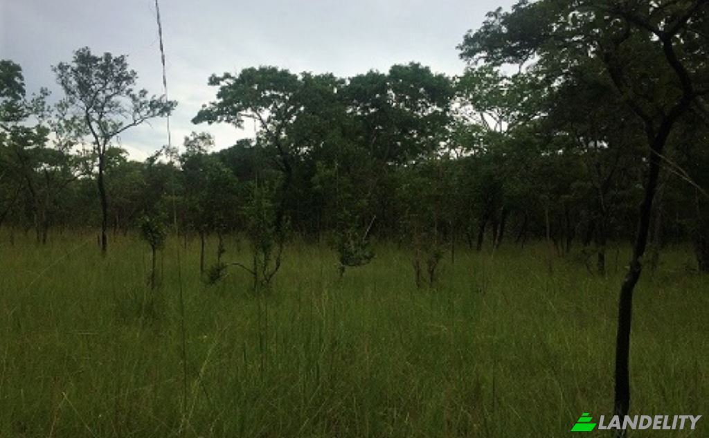 Land Lot for Sale Saulo, Kapiri Mposhi, Central Province, Zambia. Photo 6