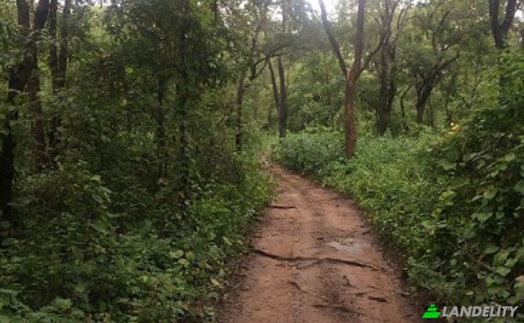 Land Lot for Sale Saulo, Kapiri Mposhi, Central Province, Zambia. Photo 1