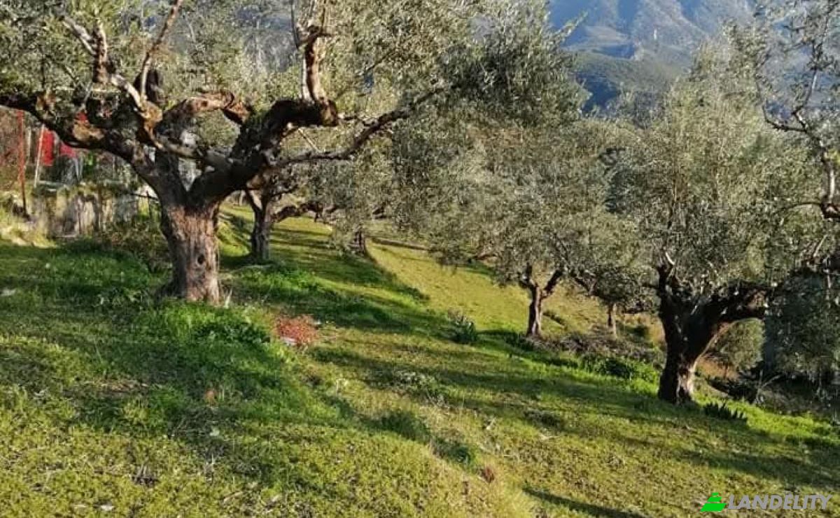 Land Lot for Sale Odos Hvris Onomasia, Kalamata 241 00, Kalamata, Peloponnese Region, Decentralized Administration of Peloponnese, Western Greece and the Ionian, Greece. Photo 3