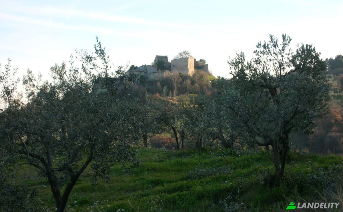 Zamek na sprzedaż Localita Casa Maggi, 06030 Giano dellUmbria PG, Giano dellUmbria, Province of Perugia, Umbria, Italy. Zdjęcie 13