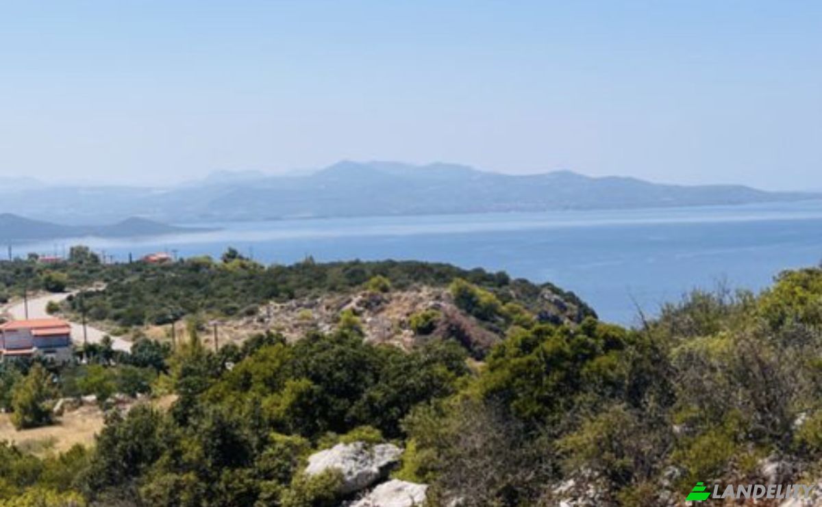 Grondperceel Te koop Theologos 350 01, Malesina, Central Greece, Decentralized Administration of Thessaly and Central Greece, Greece. Foto 1