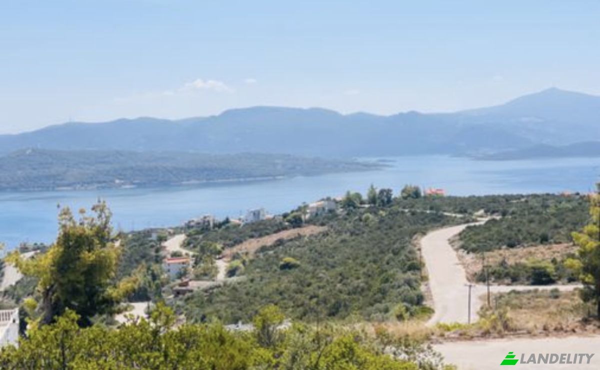 Grondperceel Te koop Theologos 350 01, Malesina, Central Greece, Decentralized Administration of Thessaly and Central Greece, Greece. Foto 2