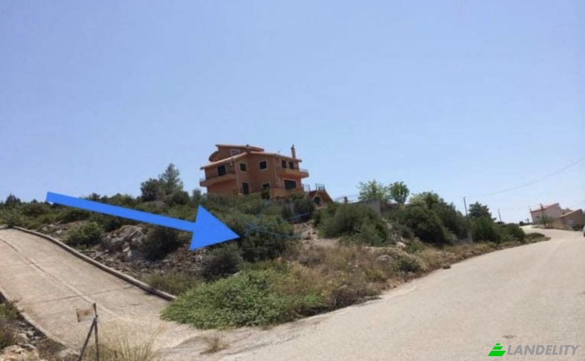 Grondperceel Te koop Theologos 350 01, Malesina, Central Greece, Decentralized Administration of Thessaly and Central Greece, Greece. Foto 3