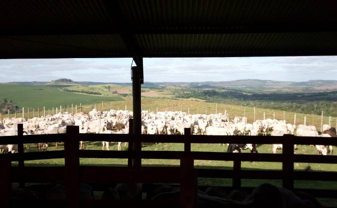 Farm/Ranch for Sale - Linea Kunatai, Paraguay