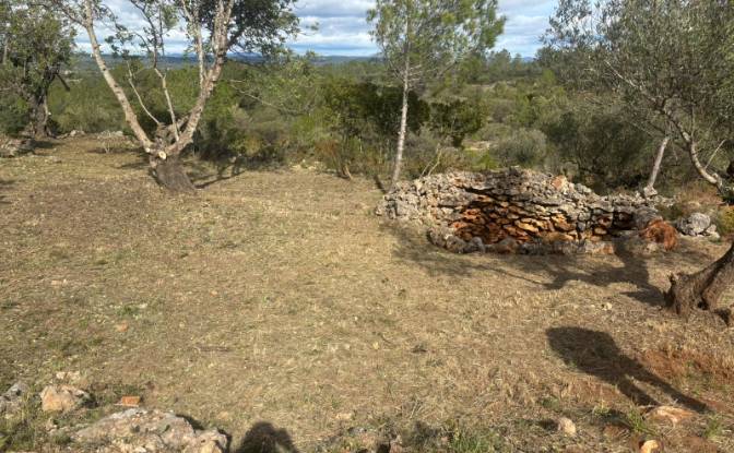 Land Lot for Sale Placa Poligono, Chella, Valencia. Photo#3 Land Lot for Sale Placa Poligono, Chella, Valencia. Photo#3
