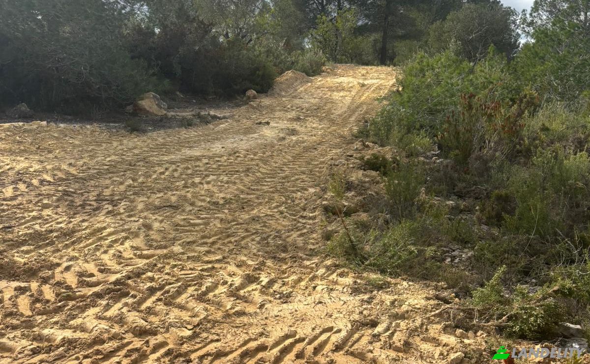 Land Lot for Sale Placa Poligono, Chella, Valencia, Valencian Community, Spain. Photo 4