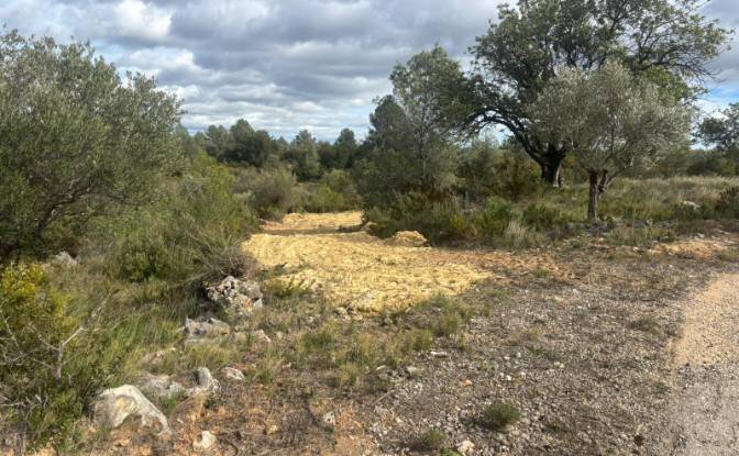 Land Lot for Sale Placa Poligono, Chella, Valencia. Photo#5 Land Lot for Sale Placa Poligono, Chella, Valencia. Photo#5