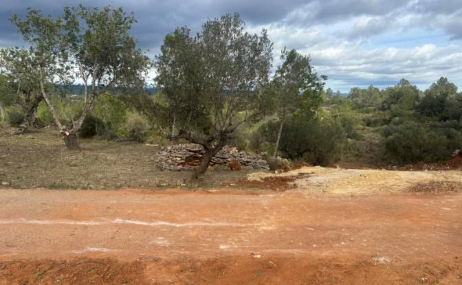 Land Lot for Sale Placa Poligono, Chella, Valencia. Photo#6 Land Lot for Sale Placa Poligono, Chella, Valencia. Photo#6