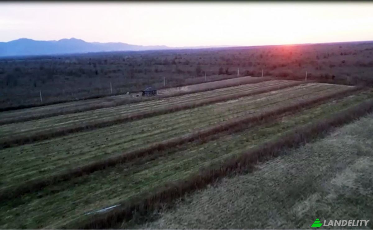 Lote de terreno para alugar Abasha-Gaghma Kodori-Guleiskiri-Japana, Nigoiti, Lanchkhuti Municipality, Guria, Georgia. foto 3