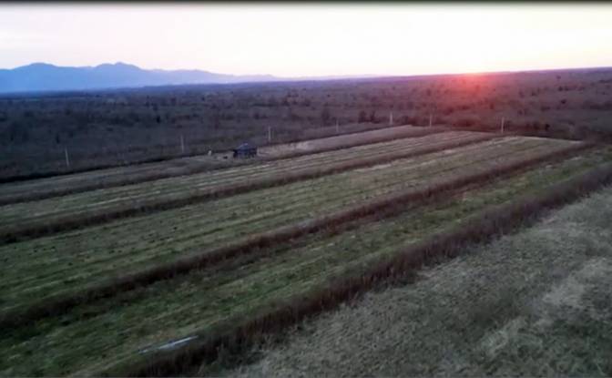 Lote de terreno para alugar Abasha-Gaghma. foto#3
