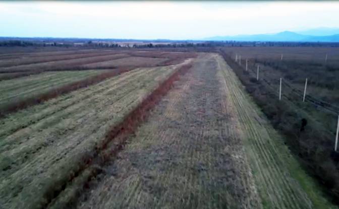 Land Lot Rentals - Nigoiti, Georgia