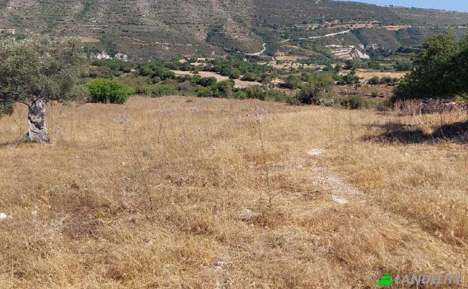 Land Lot for Sale Isimsiz Yol, Taslica, Dora. Photo#1 Land Lot for Sale Isimsiz Yol, Taslica, Dora. Photo#1