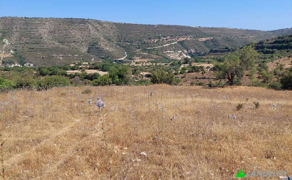 Land Lot for Sale Isimsiz Yol, Taslica, Dora, Limassol, Cyprus. Photo 2