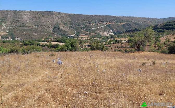 Land Lot for Sale Isimsiz Yol, Taslica, Dora. Photo#2 Land Lot for Sale Isimsiz Yol, Taslica, Dora. Photo#2