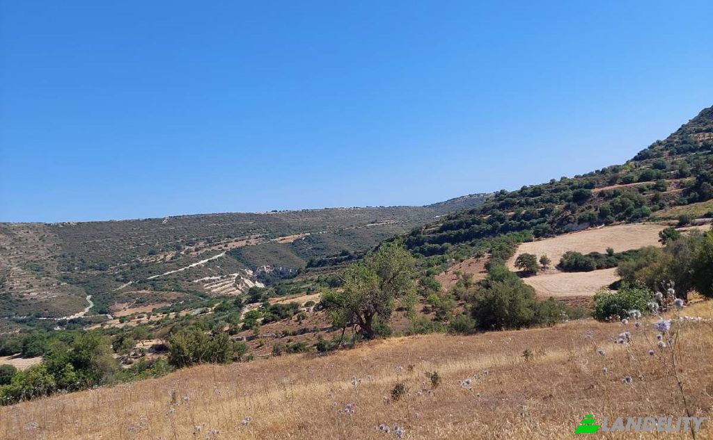Land Lot for Sale Isimsiz Yol, Taslica, Dora, Limassol, Cyprus. Photo 3